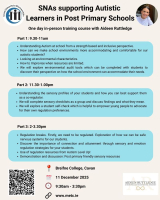 Face-to-Face SNAs supporting Autistic  Learners in Post Primary Schools