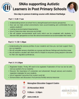 Face-to-Face SNAs supporting Autistic  Learners in Post Primary Schools